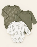 Боди